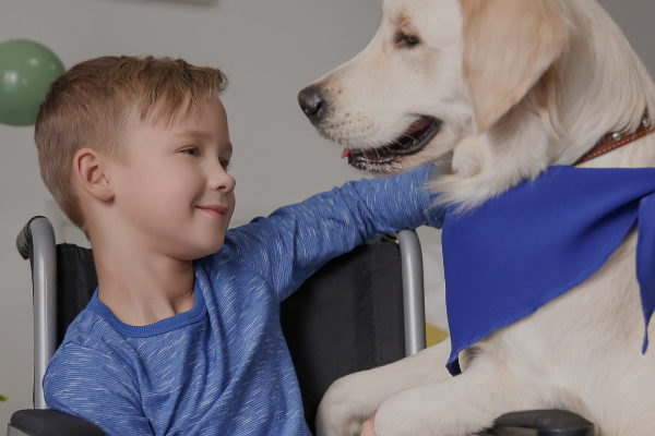 Supreme Court Rules for Child’s Right to Use Service Dog